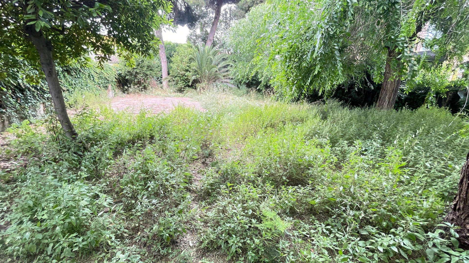 Land in Premia De Mar, Barcelona, Spanien Nr. 172015