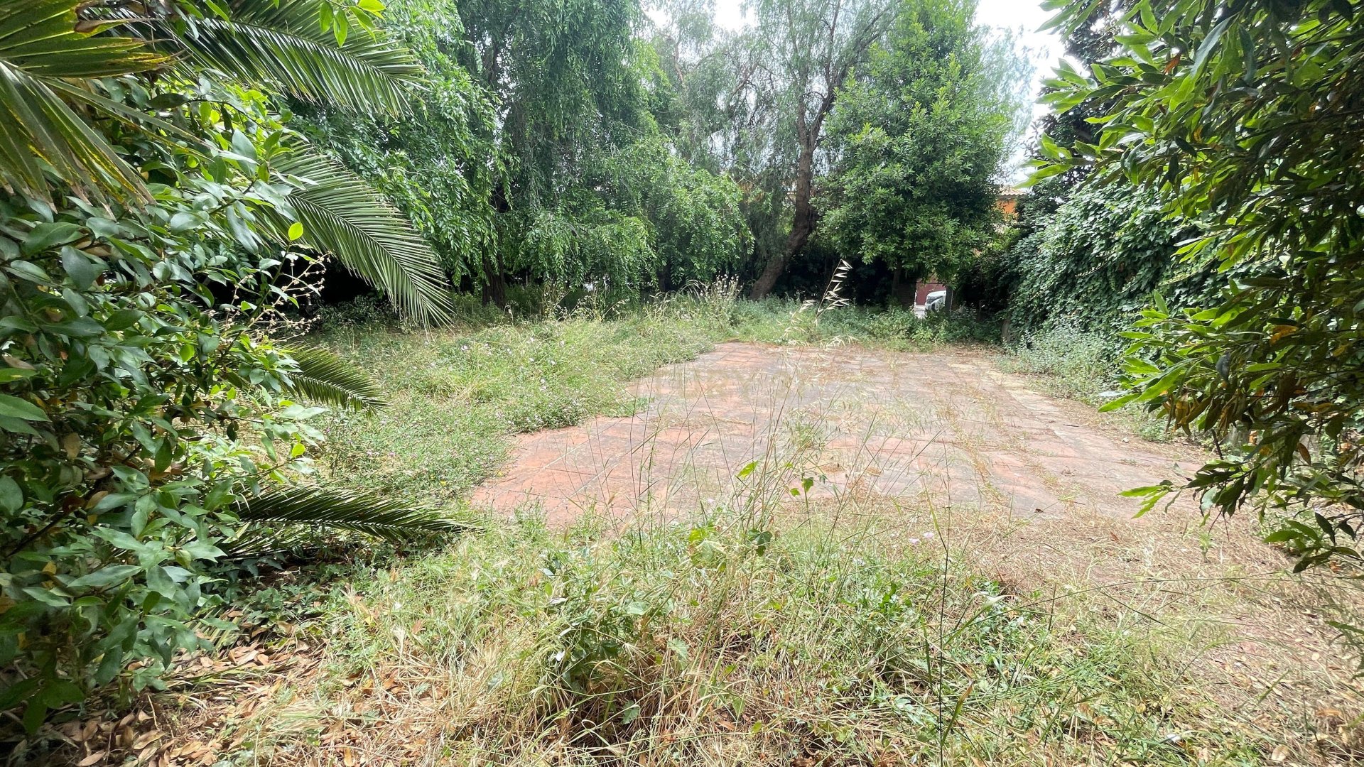Land in Premia De Mar, Barcelona, Spanien Nr. 172015