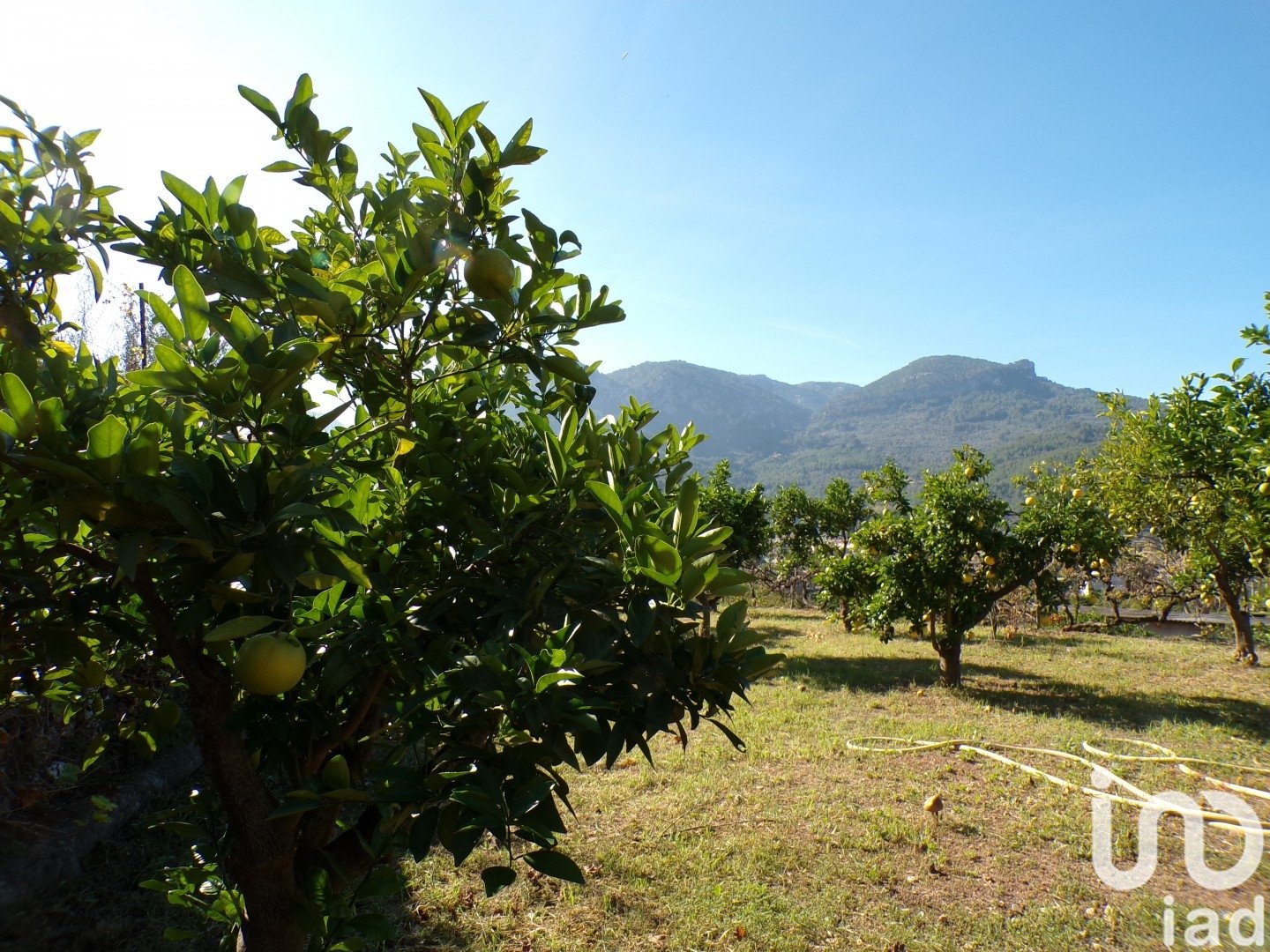 Hus i Soller, Mallorca, Spanien 6 sovrum, 234 kvm. Nr. 154134