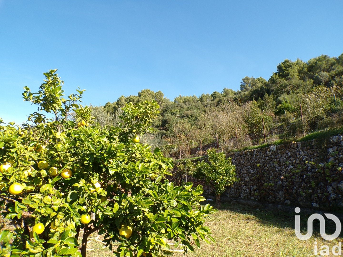 Hus i Soller, Mallorca, Spanien 6 sovrum, 234 kvm. Nr. 154134