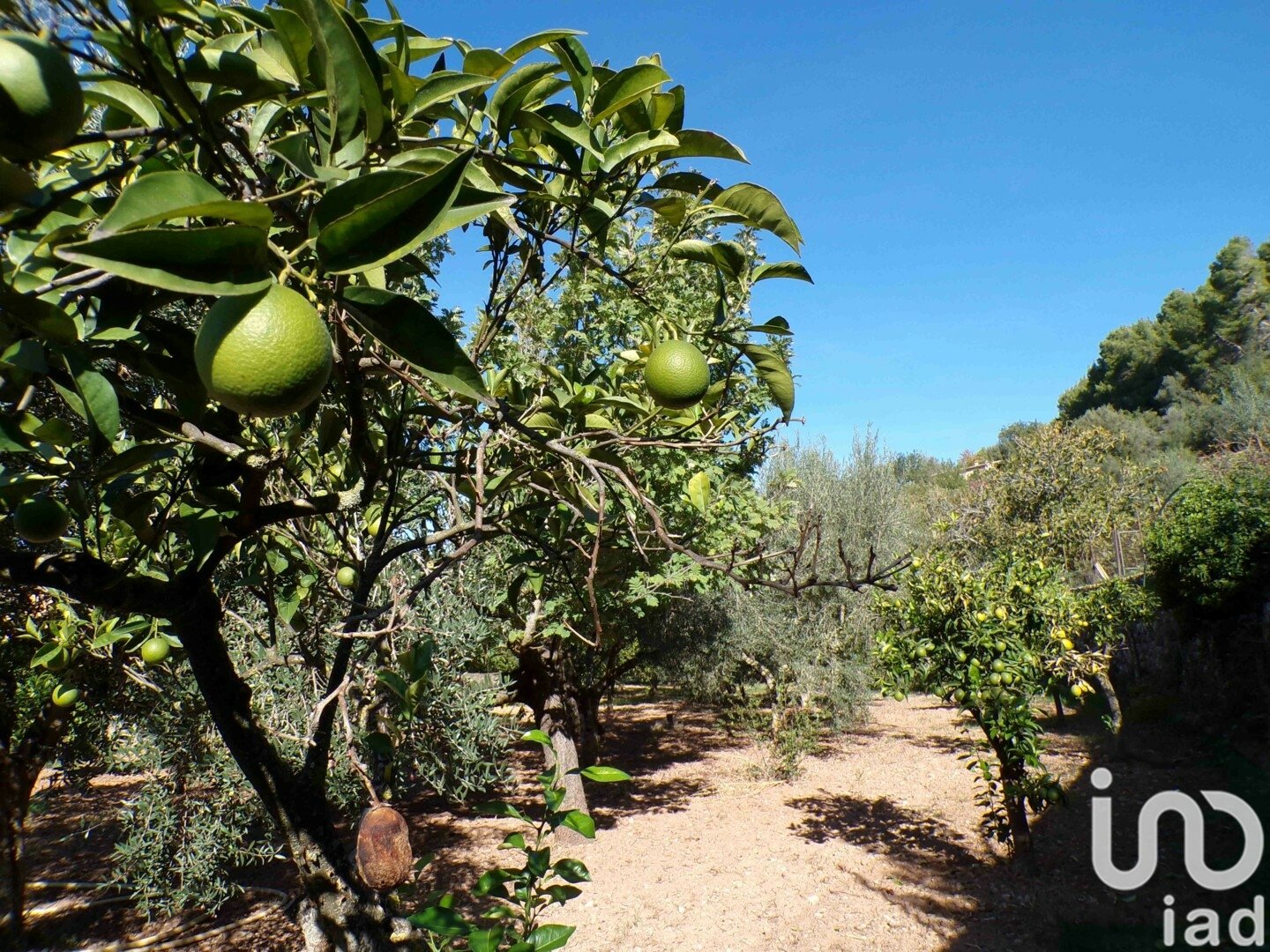 Hus i Soller, Mallorca, Spanien 6 sovrum, 234 kvm. Nr. 154134