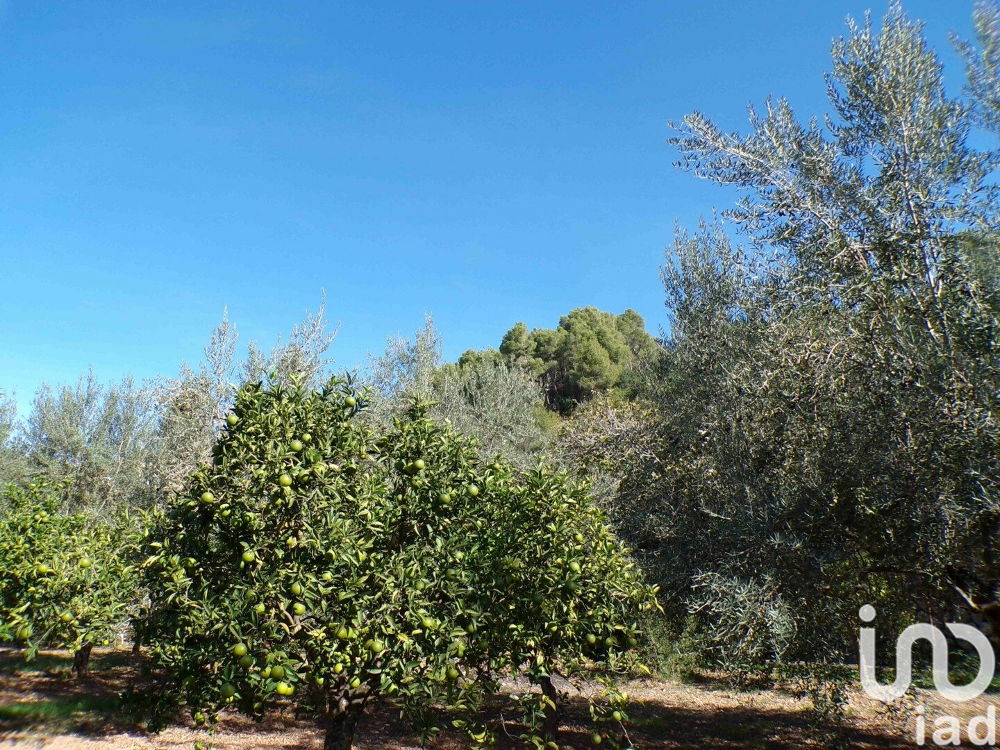 Hus i Soller, Mallorca, Spanien 6 sovrum, 234 kvm. Nr. 154134