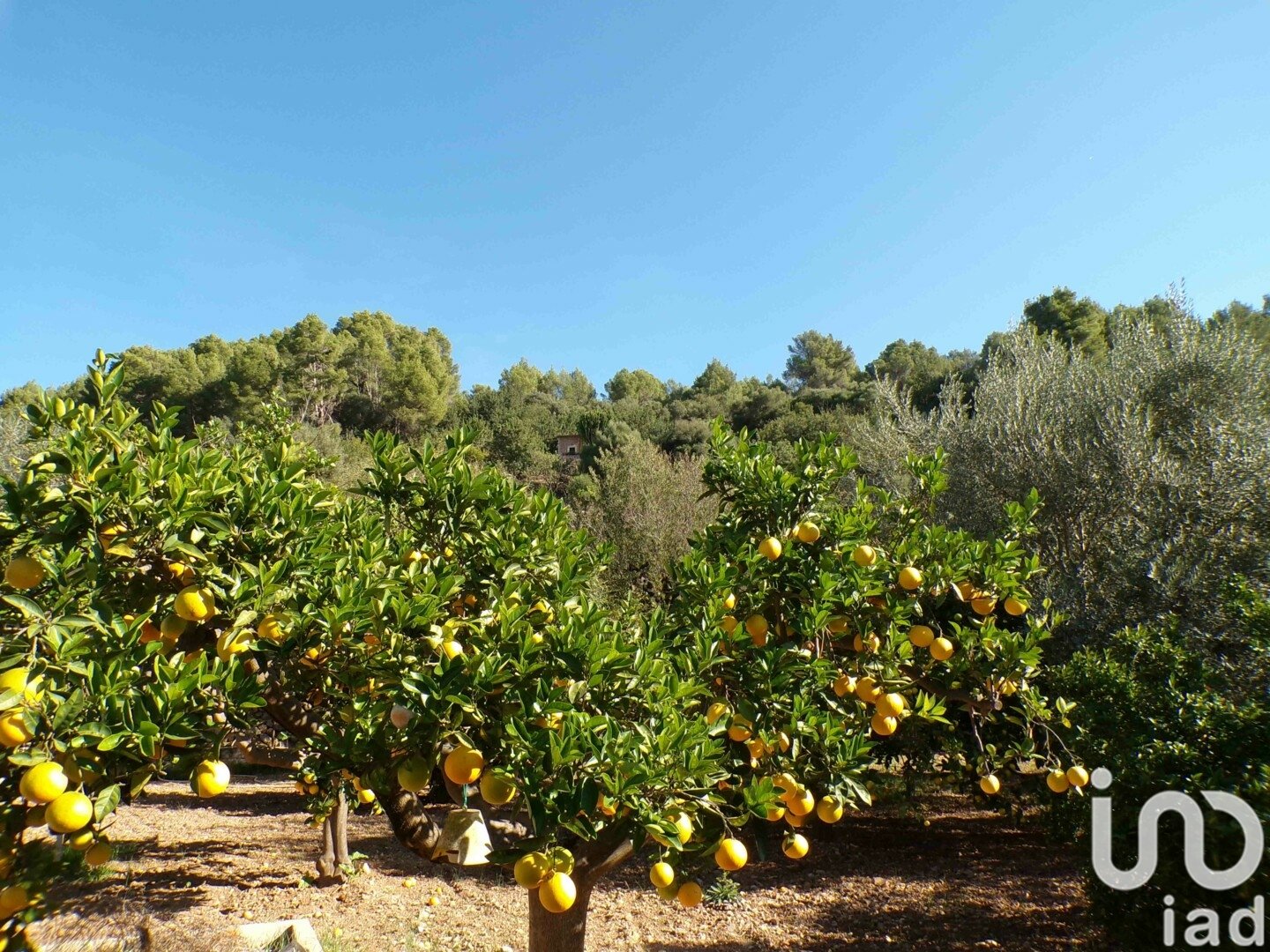 Hus i Soller, Mallorca, Spanien 6 sovrum, 234 kvm. Nr. 154134