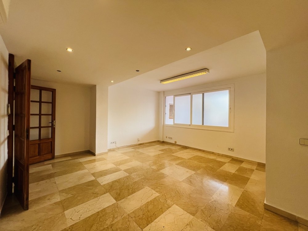 Commercial property à Santa Ponsa, Mallorca, Espagne No. 139178