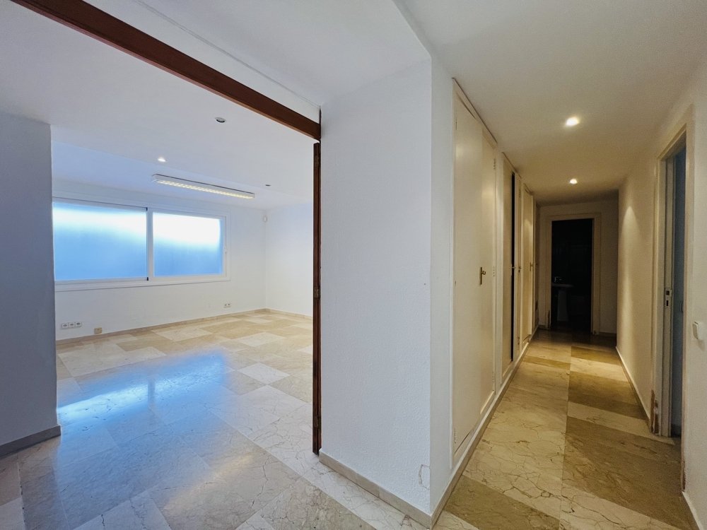 Commercial property à Santa Ponsa, Mallorca, Espagne No. 139178