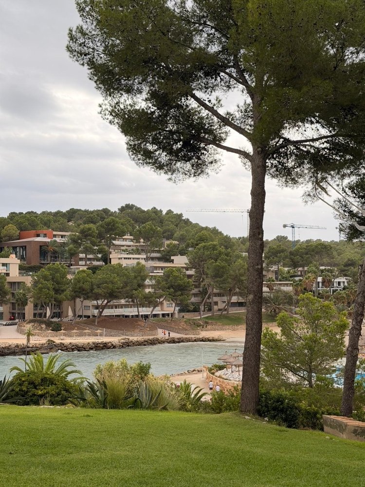 Apartment à Cala Vinyes, Mallorca, Espagne 2 chambres, 68 m2 No. 139179