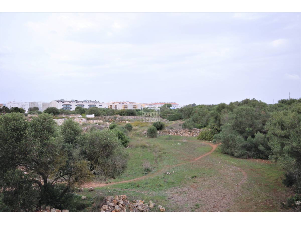 Parcela en Ciutadella De Menorca, Menorca, España 62 m2 No. 65463