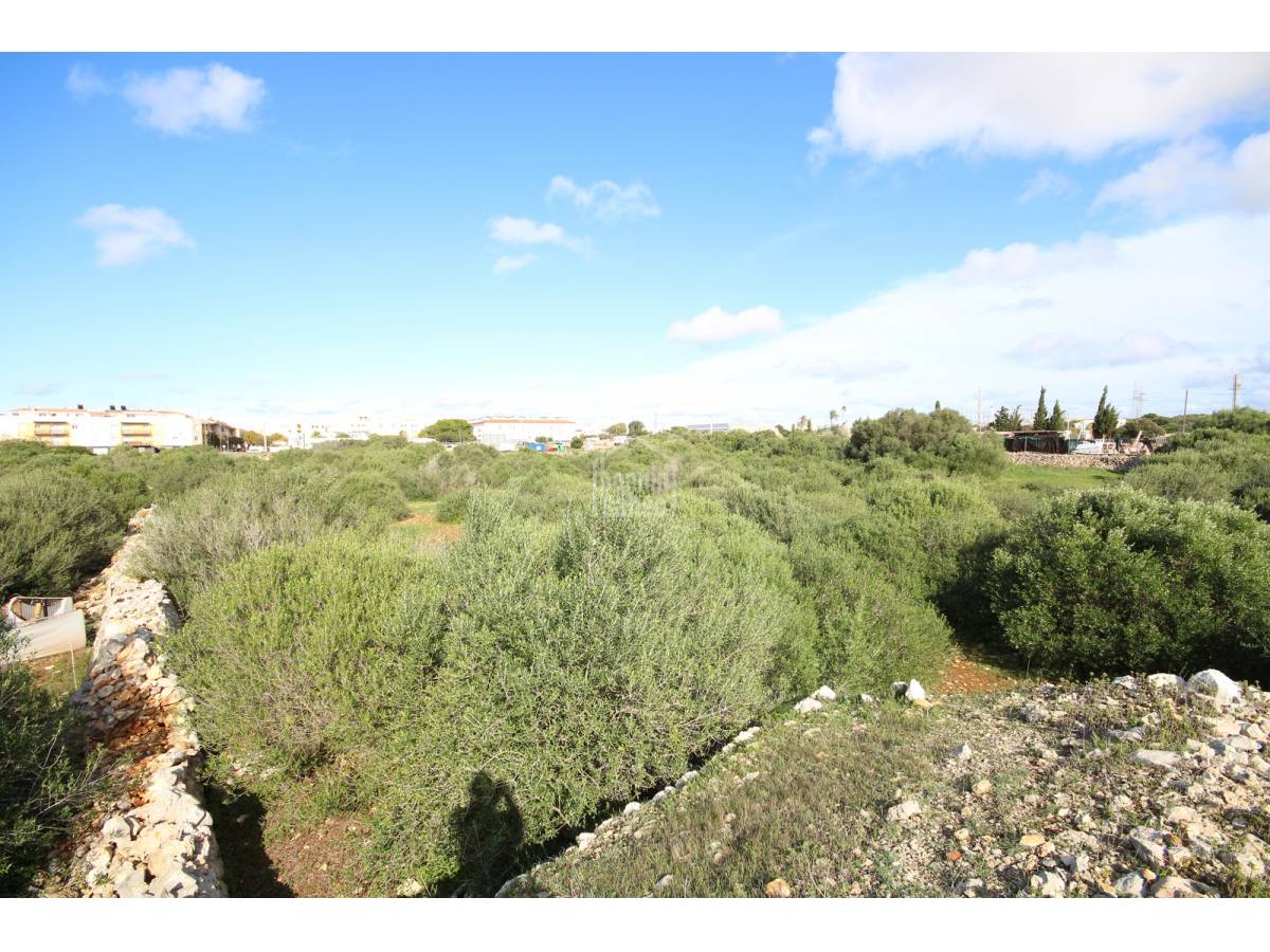 Parcela en Ciutadella De Menorca, Menorca, España 62 m2 No. 65463
