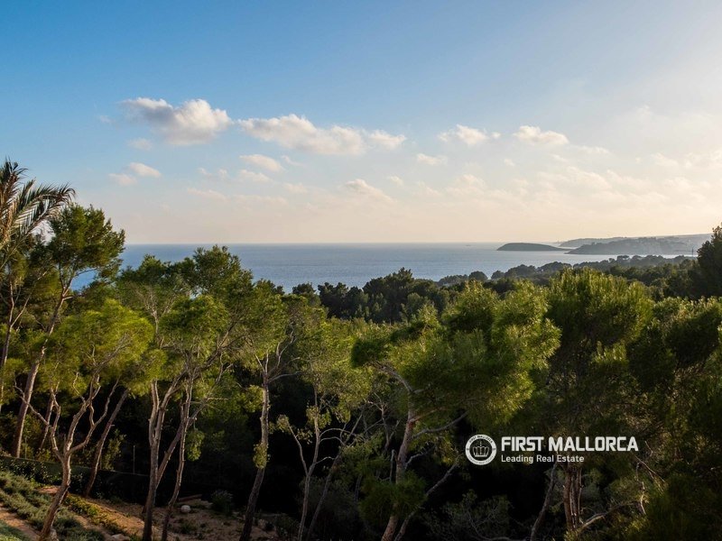 Huvila Mallorca, Espanja 4 makuuhuonetta, 372 m2 No. 178131