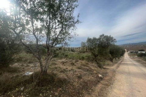Land plot in Vilafranca Del Penedes, Barcelona, Spain No. 167184