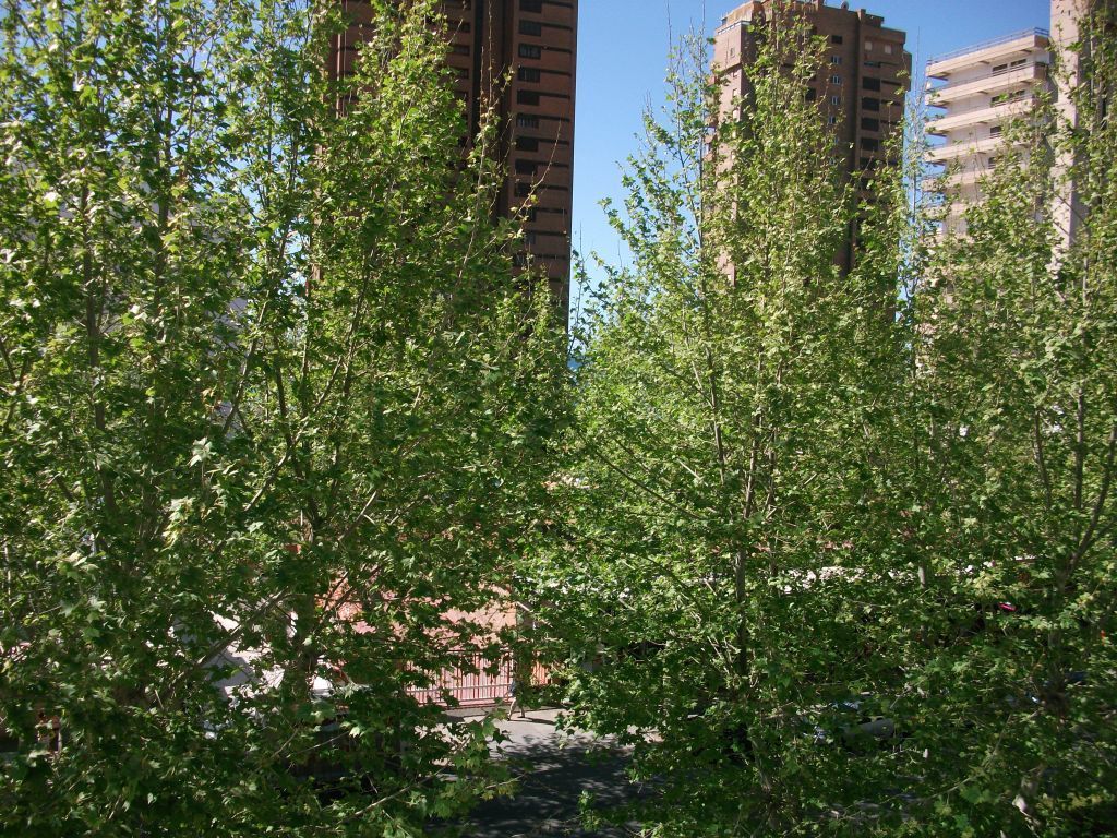 Huoneisto Benidorm, Alicante, Espanja 2 makuuhuonetta, 74 m2 No. 95821