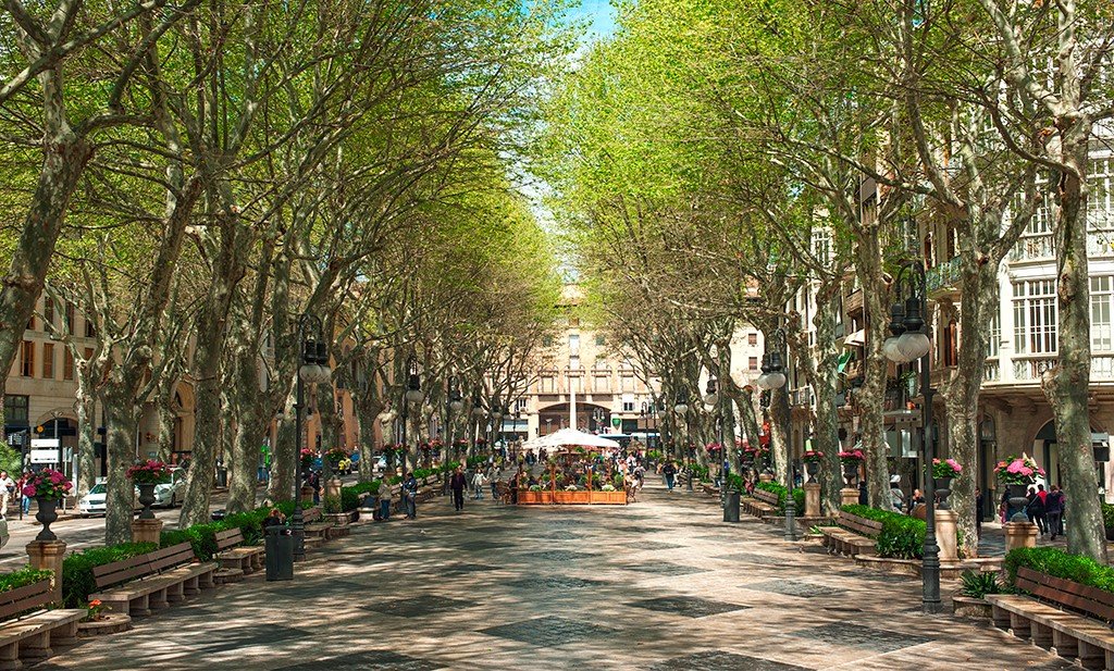 Apartamento en Palma de Mallorca, Mallorca, España 3 dormitorios, 107 m2 No. 192402