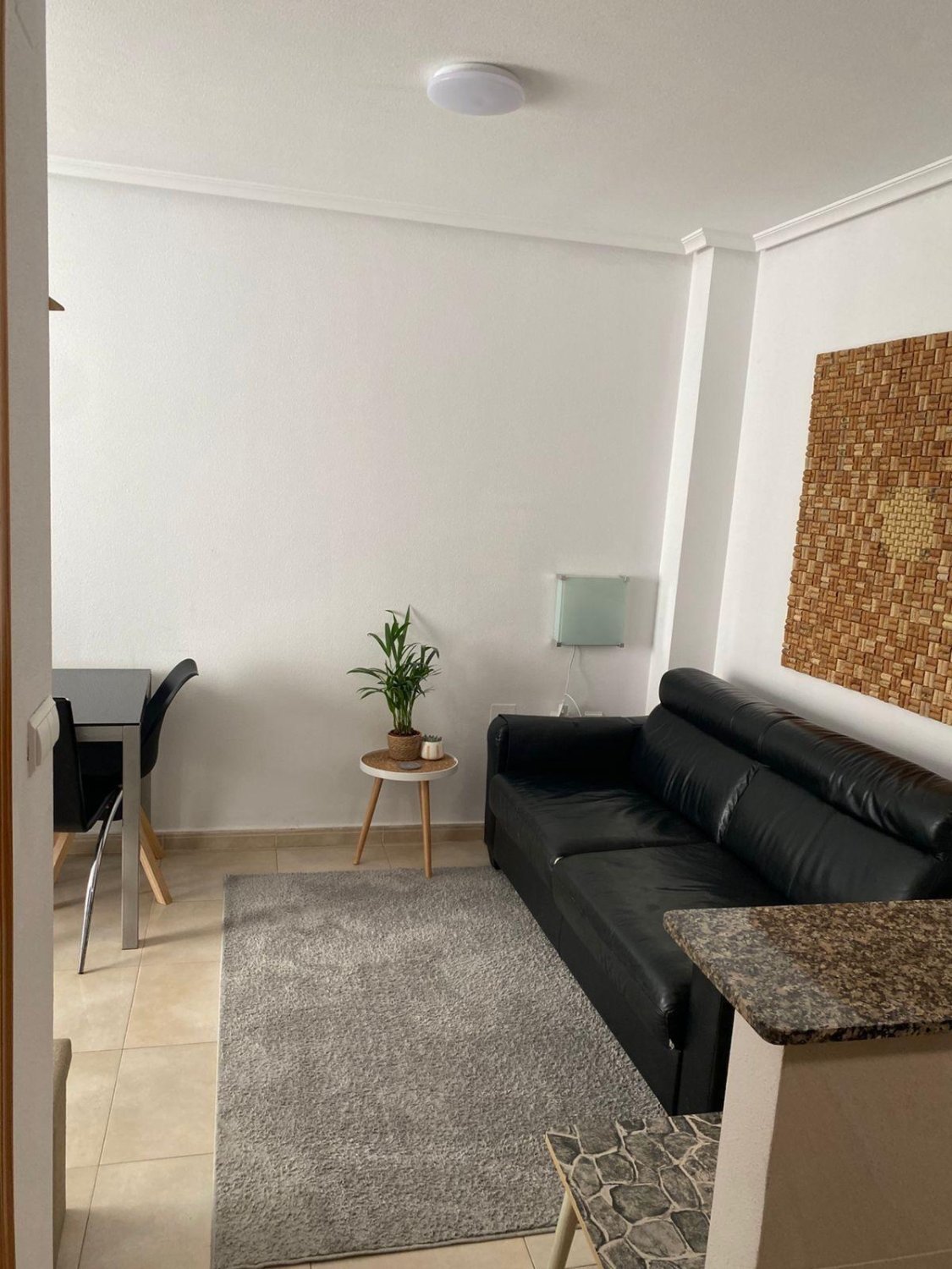 Appartamento a Torrevieja, Alicante, Spagna 1 camera da letto, 47 mq. N° 184363