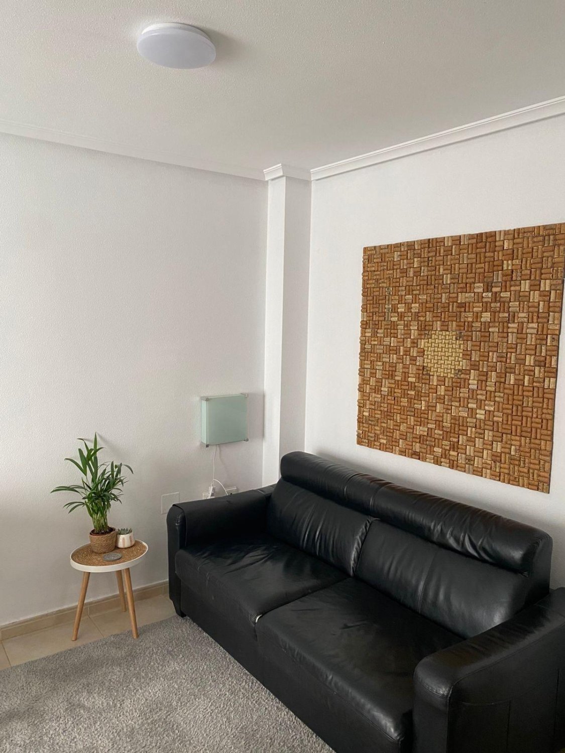 Appartamento a Torrevieja, Alicante, Spagna 1 camera da letto, 47 mq. N° 184363