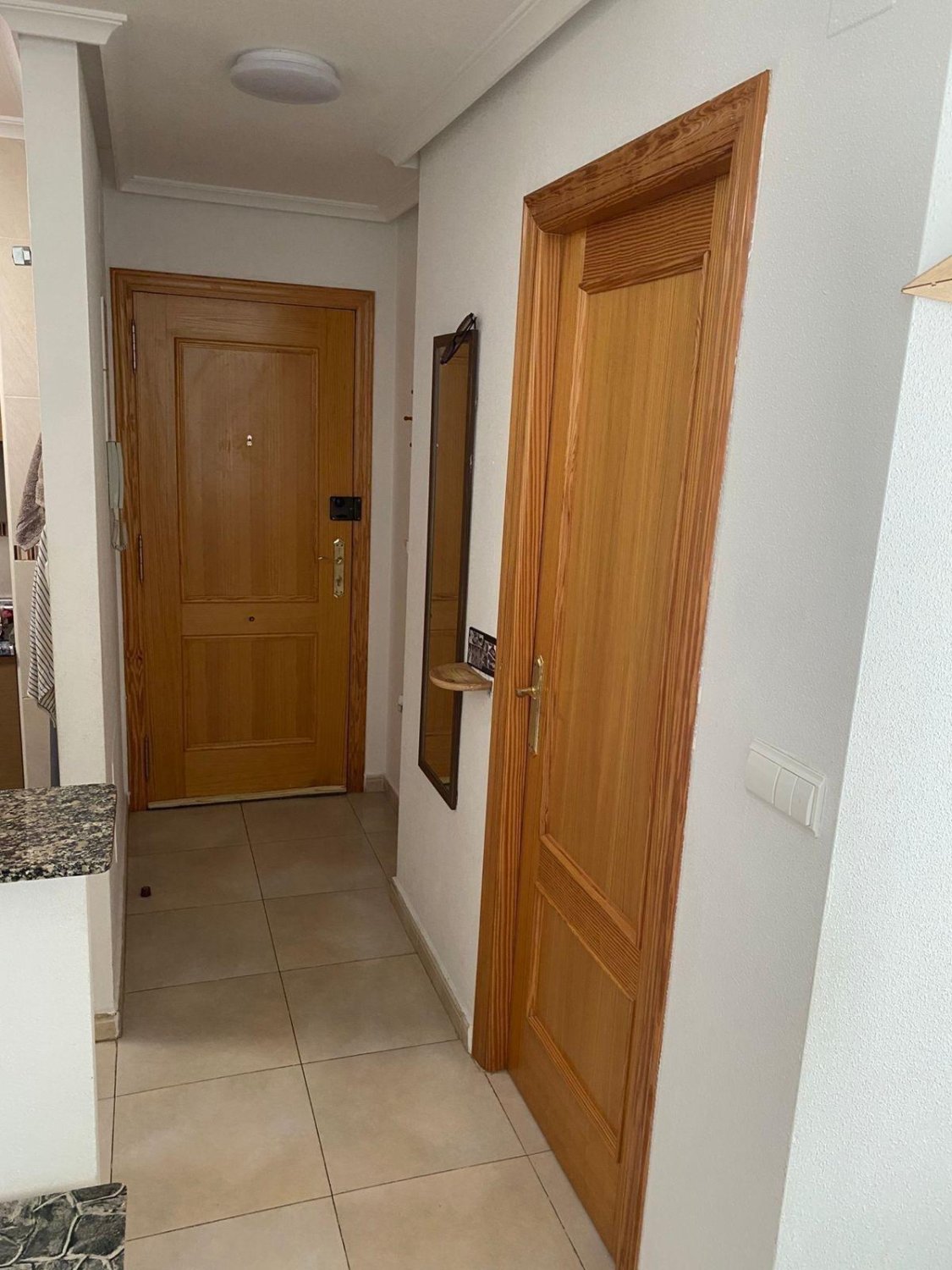 Appartamento a Torrevieja, Alicante, Spagna 1 camera da letto, 47 mq. N° 184363