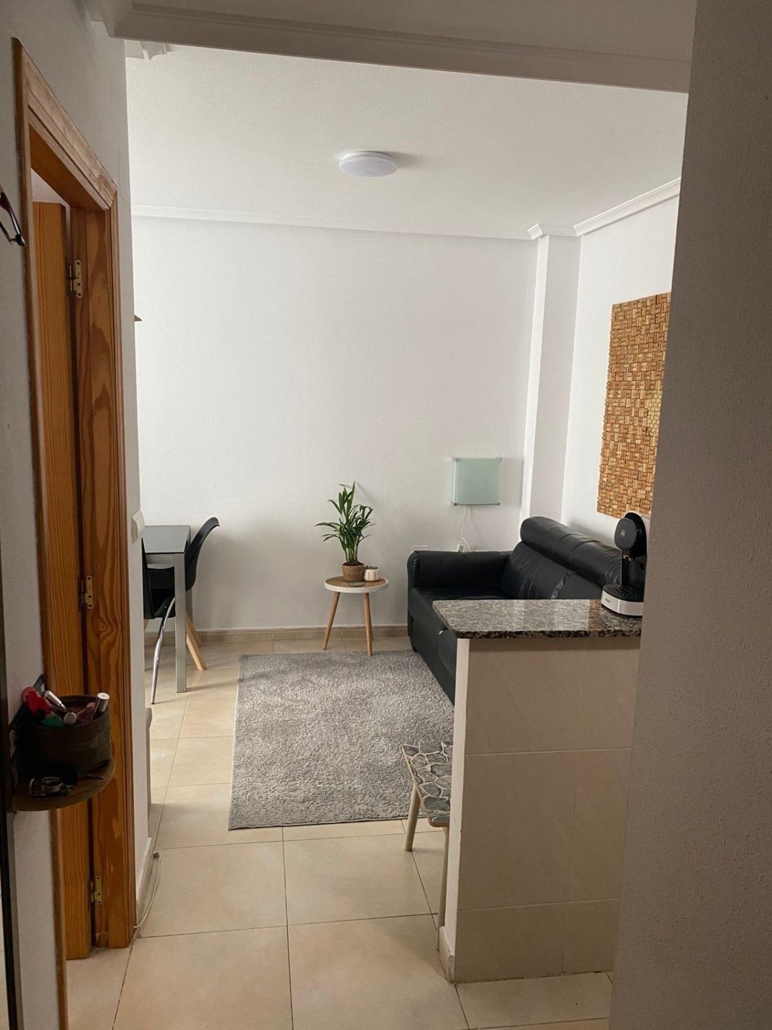 Appartamento a Torrevieja, Alicante, Spagna 1 camera da letto, 47 mq. N° 184363