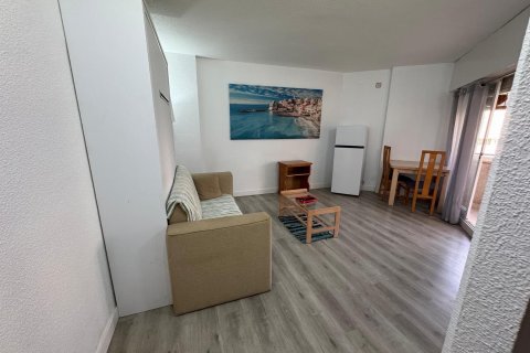 Huoneisto Torrevieja, Alicante, Espanja 1 huone, 41 m2 No. 184362
