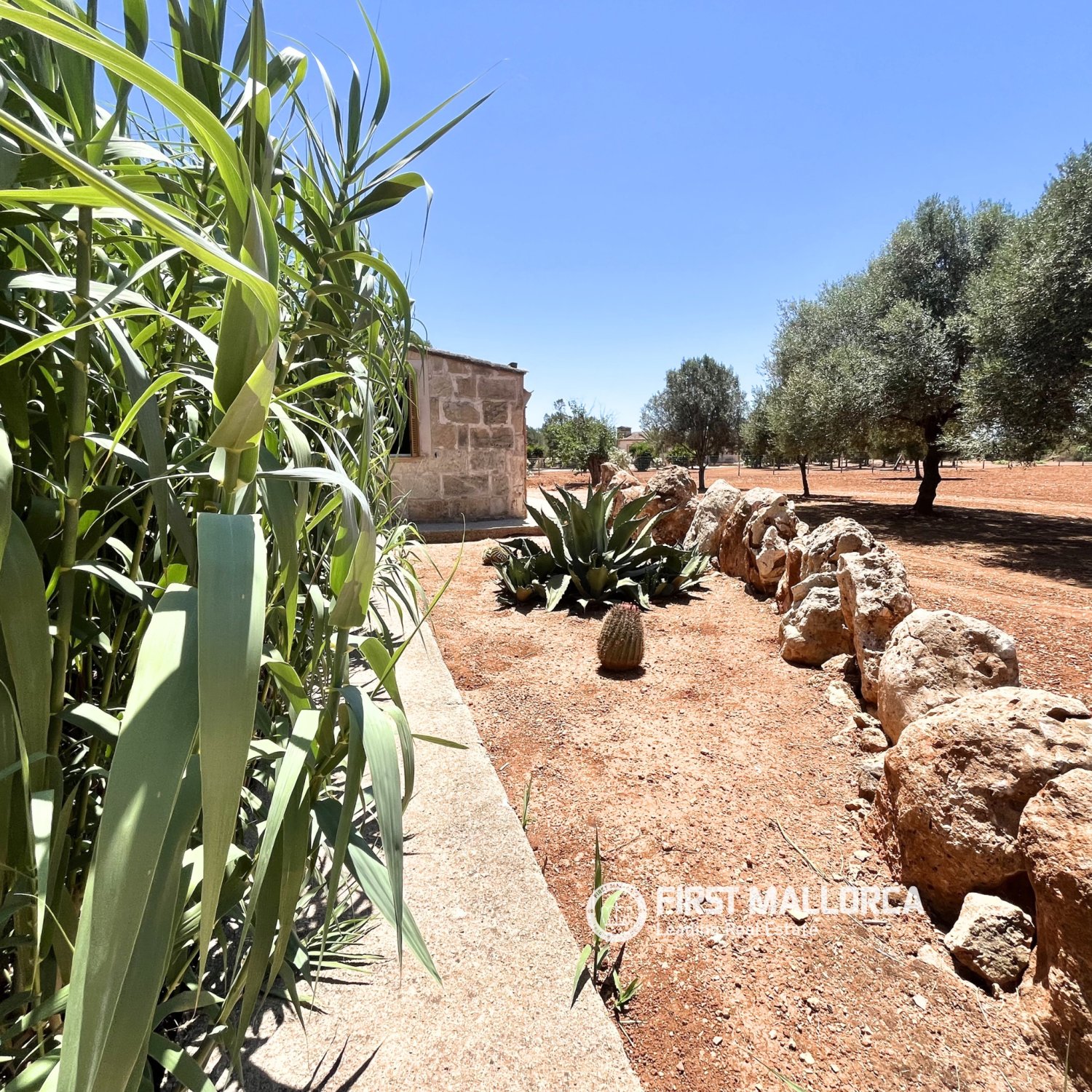 Finca en Campos, Mallorca, España 1 dormitorio, 78 m2 No. 177324