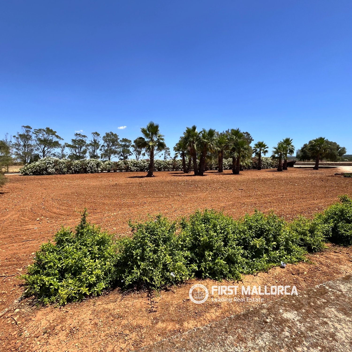Finca en Campos, Mallorca, España 1 dormitorio, 78 m2 No. 177324