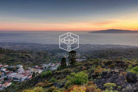 Villa a Guia de Isora, Tenerife, Spagna 6 camere da letto, 768 mq. N° 111101