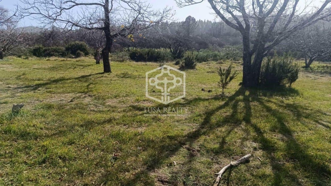 Villa La Matanza de Acentejo, Tenerife, Spānijā Nr. 111099