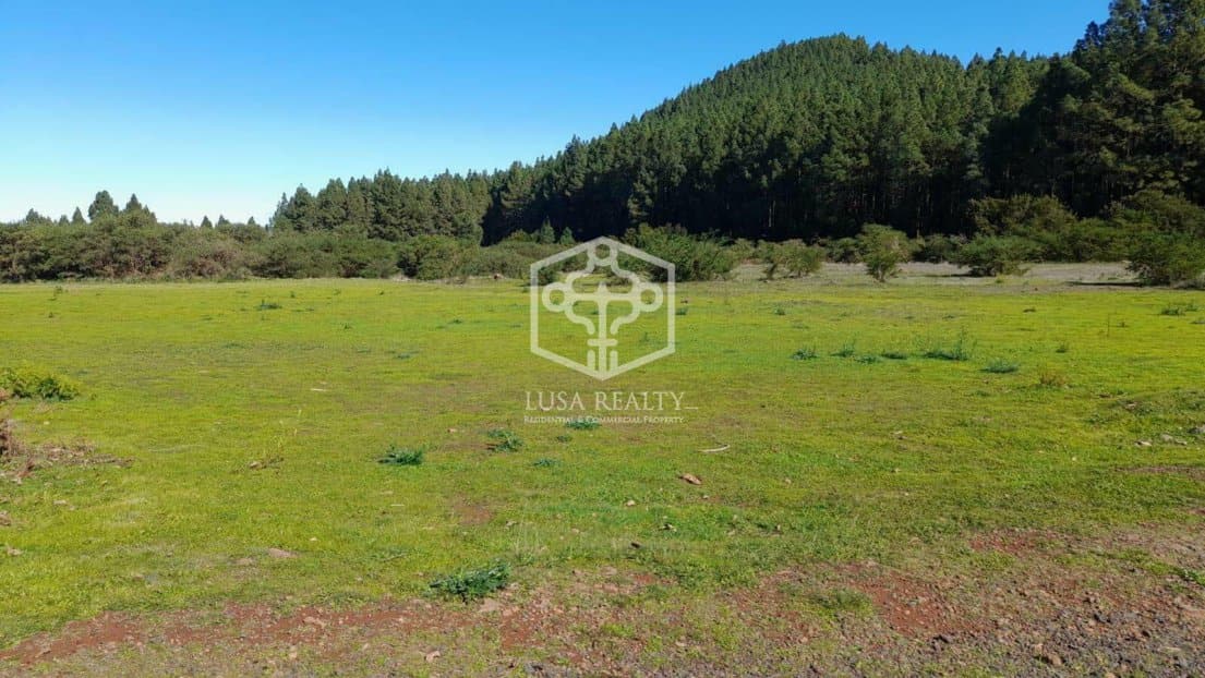 Villa La Matanza de Acentejo, Tenerife, Spānijā Nr. 111099
