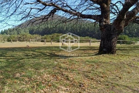 Villa in La Matanza de Acentejo, Tenerife, Spanien Nr. 111099