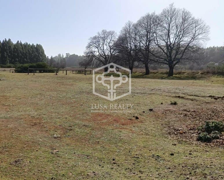 Villa La Matanza de Acentejo, Tenerife, Spānijā Nr. 111099