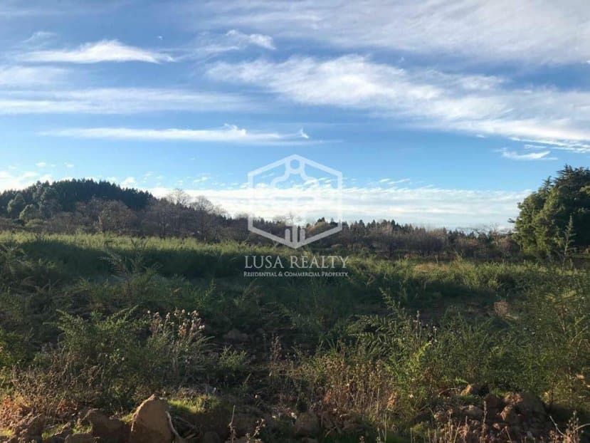Villa La Matanza de Acentejo, Tenerife, Spānijā Nr. 111099