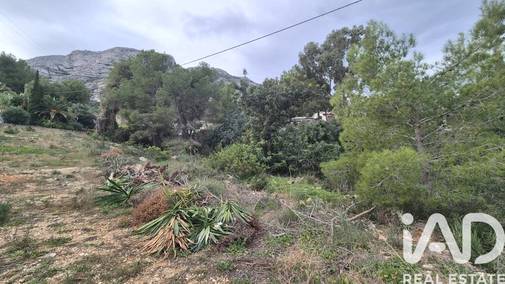 Działka w Denia, Alicante, Hiszpania 924 mkw. nr 152622