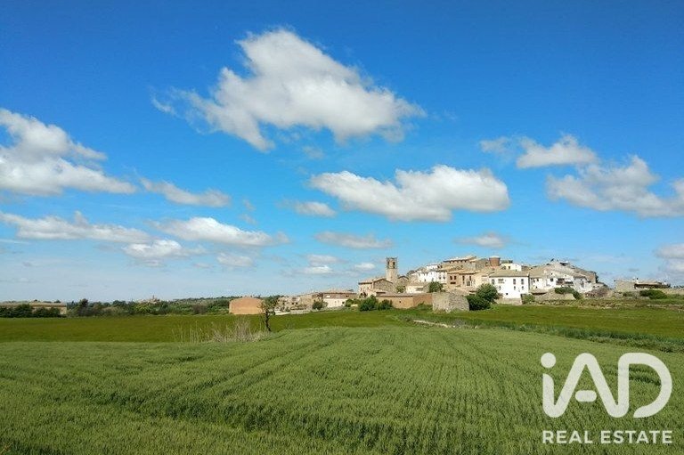 Land plot in Bellvei, Tarragona, Spain 15027 sq.m. No. 187885