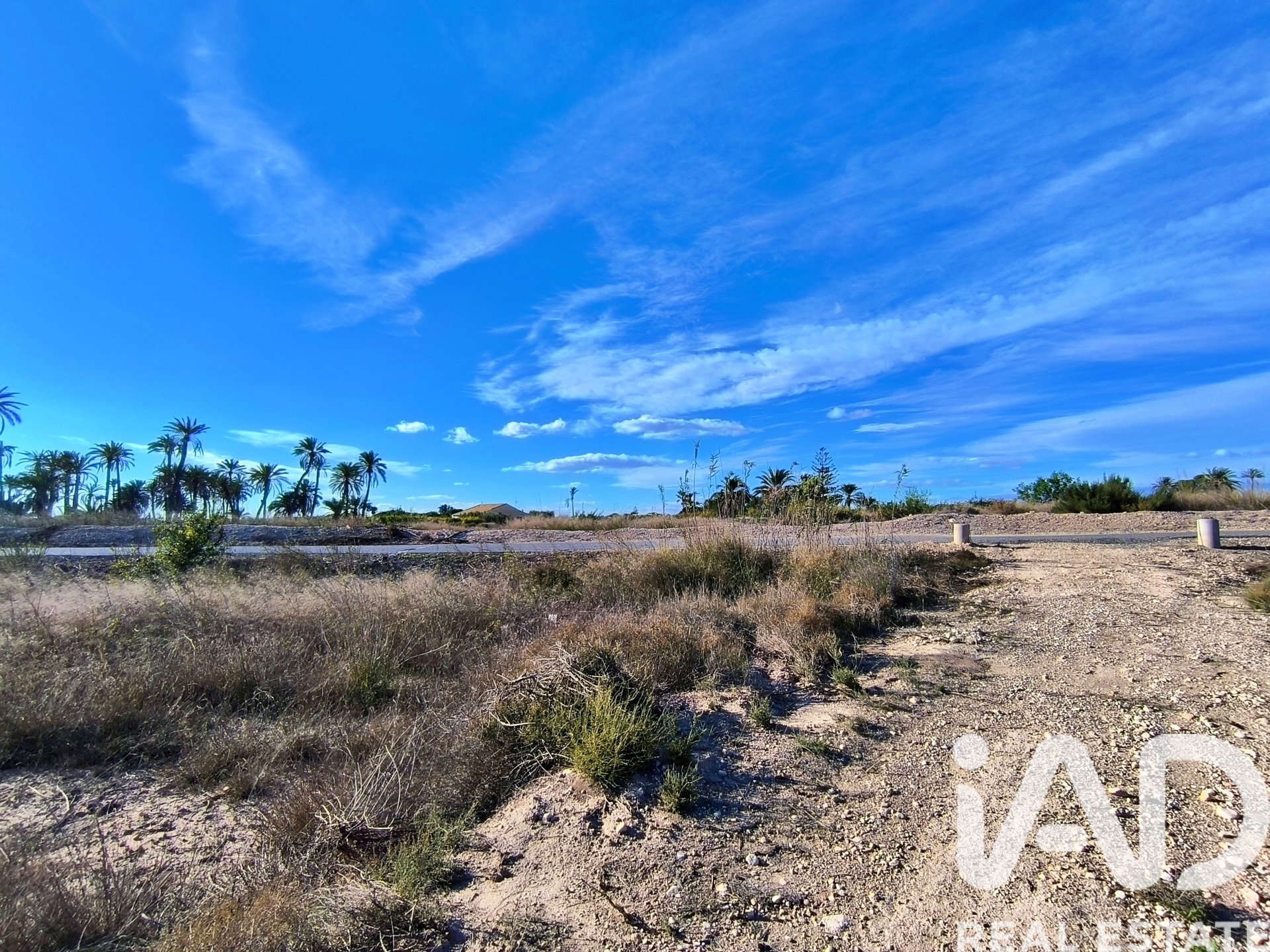 Land plot in Elche, Alicante, Spain 44870 sq.m. No. 152874