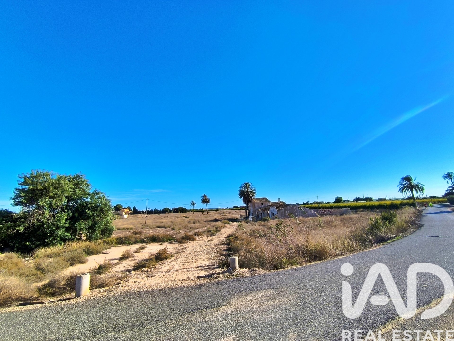 Land plot in Elche, Alicante, Spain 44870 sq.m. No. 152874