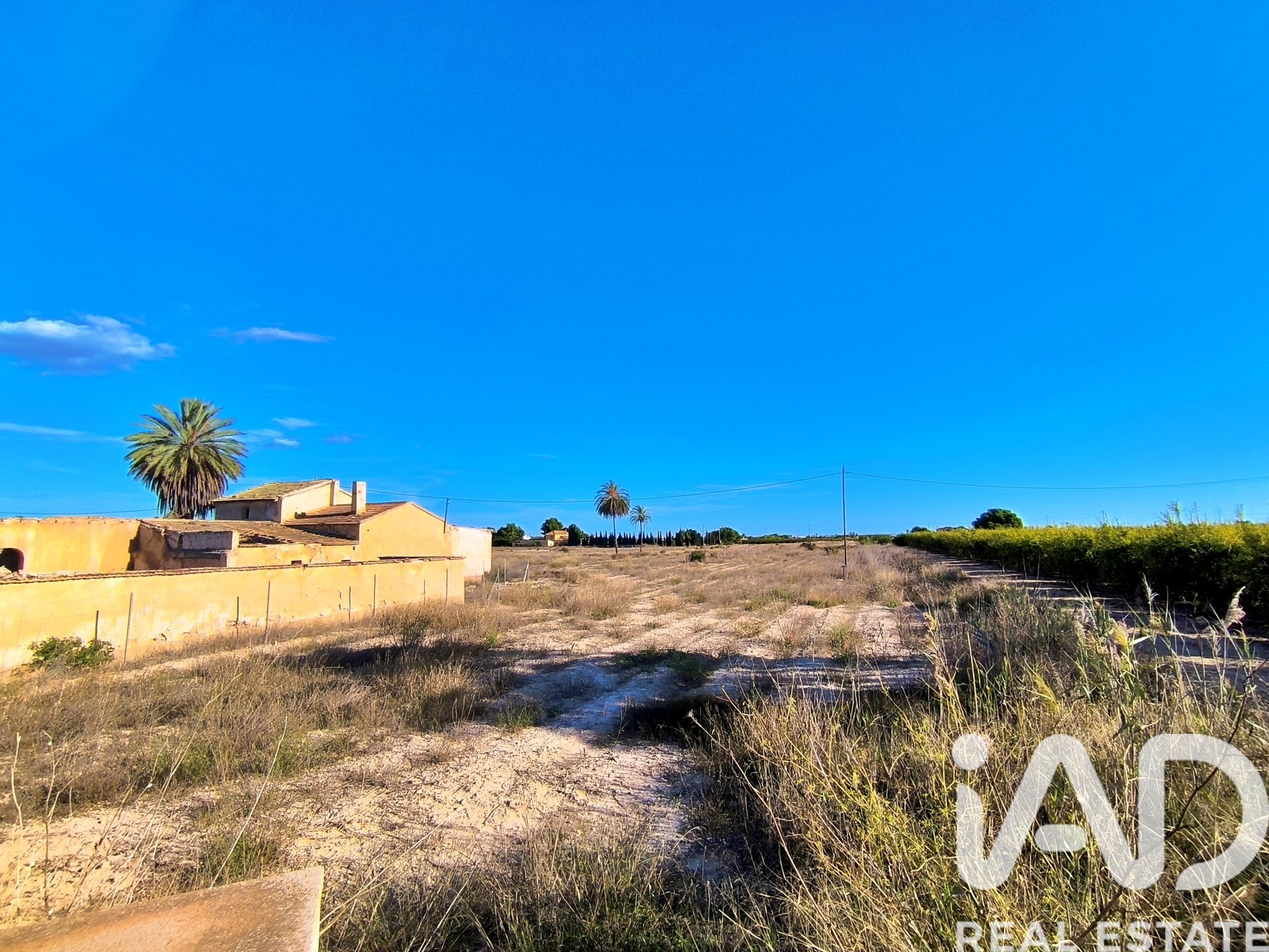 Land plot in Elche, Alicante, Spain 44870 sq.m. No. 152874