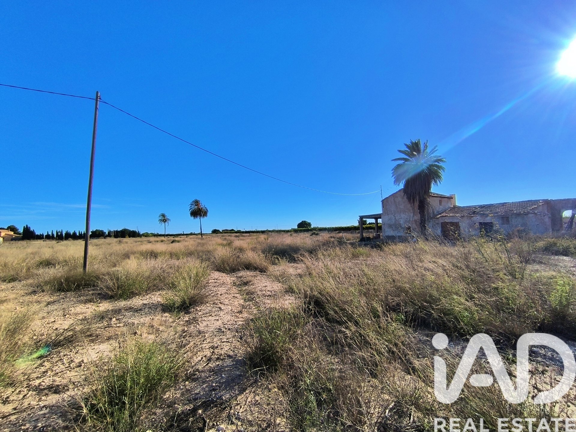 Land plot in Elche, Alicante, Spain 44870 sq.m. No. 152874