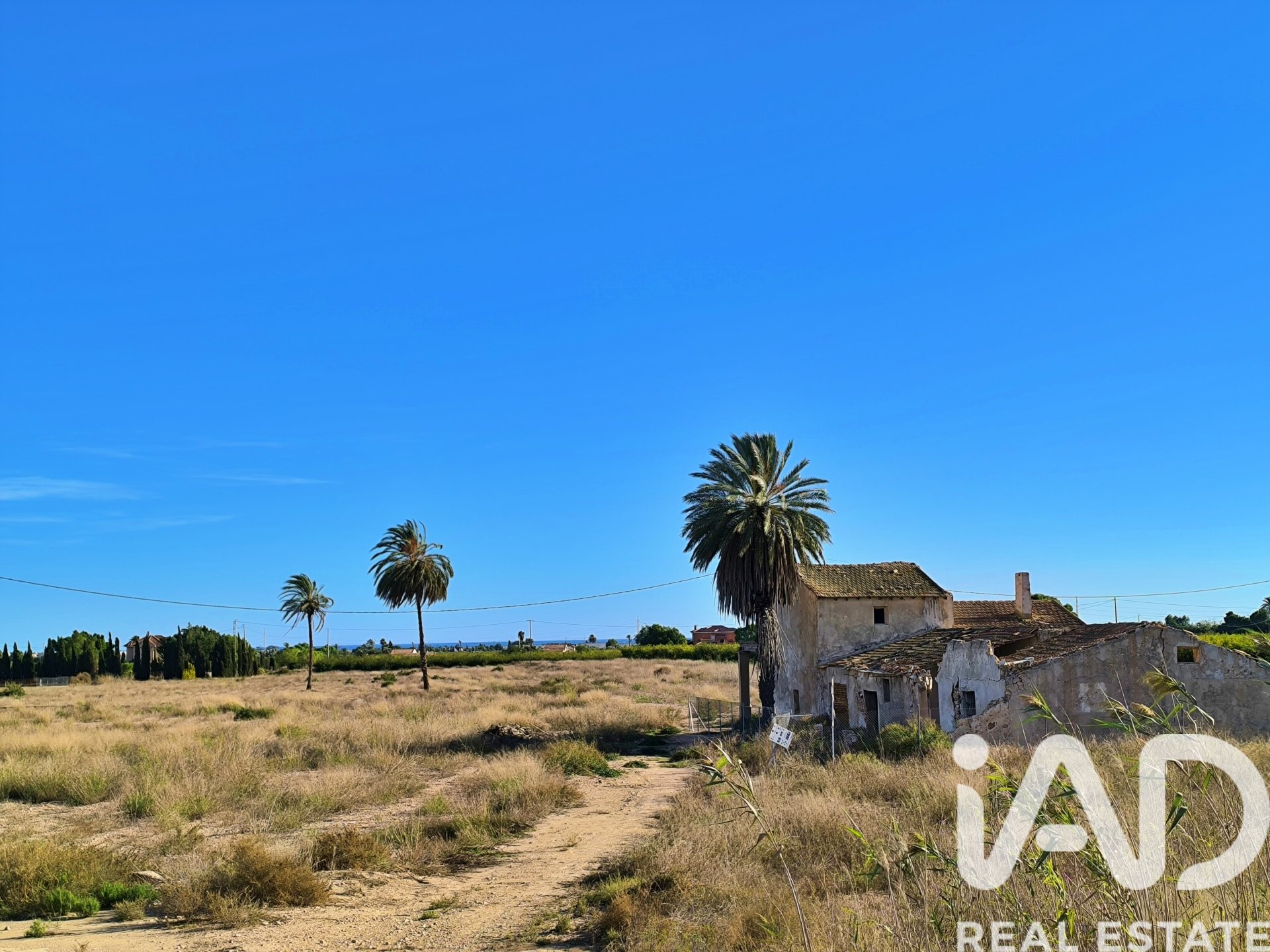 Land plot in Elche, Alicante, Spain 44870 sq.m. No. 152874