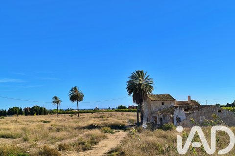 Działka w Elche, Alicante, Hiszpania 44870 mkw. nr 152874