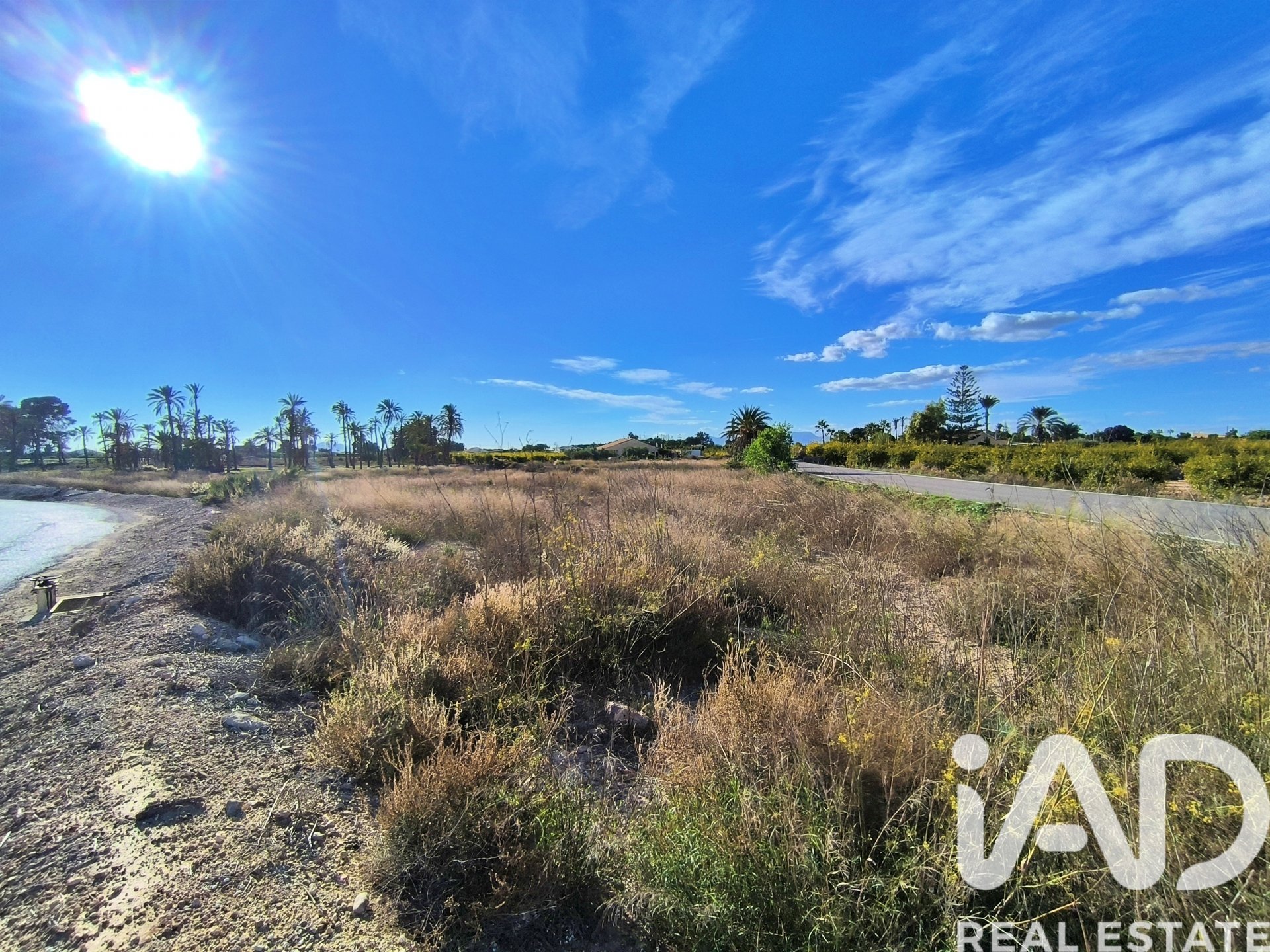 Land plot in Elche, Alicante, Spain 44870 sq.m. No. 152874