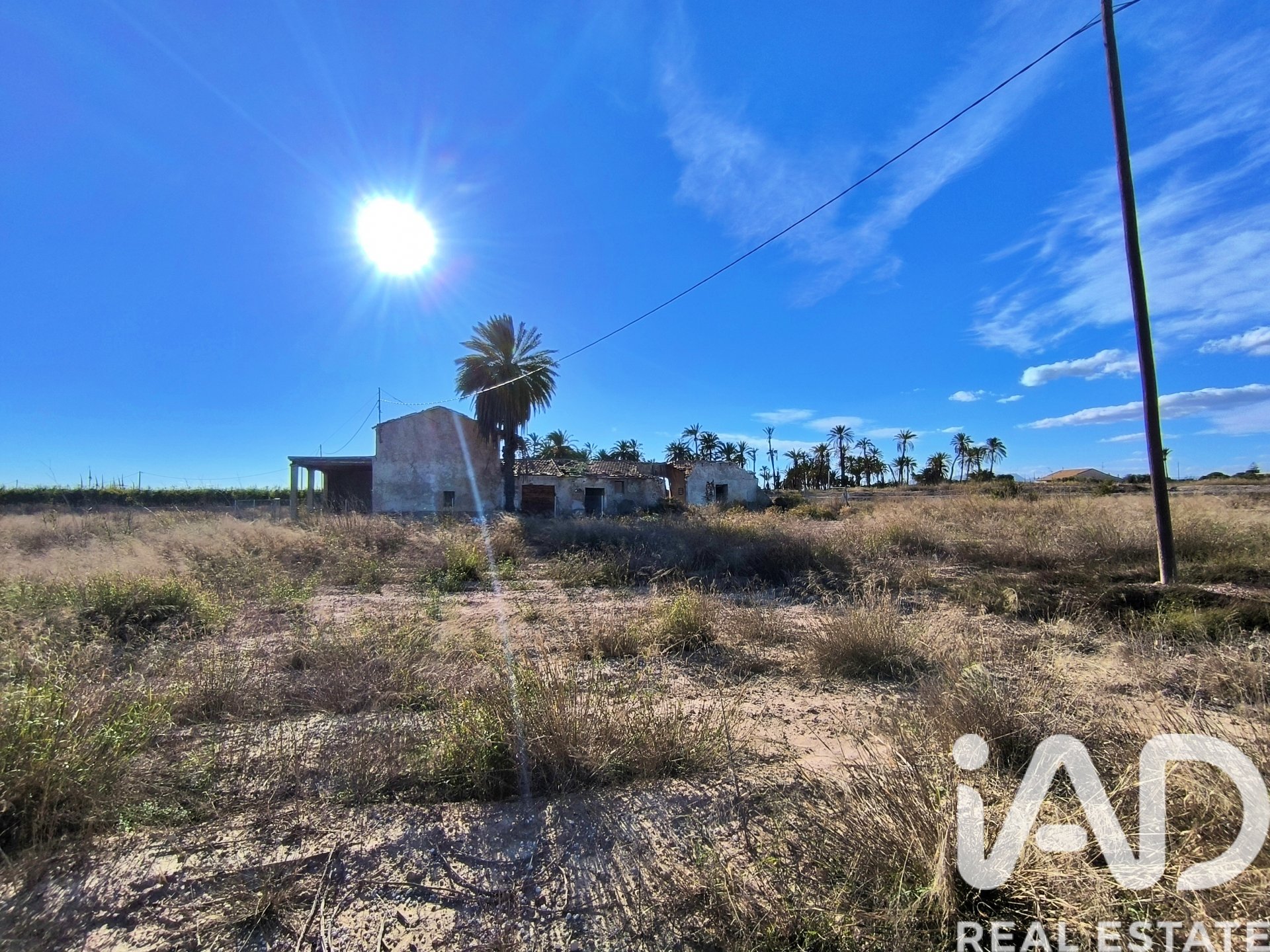 Land plot in Elche, Alicante, Spain 44870 sq.m. No. 152874