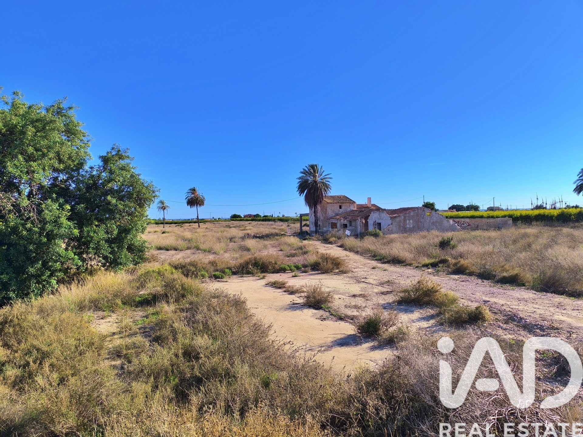 Land plot in Elche, Alicante, Spain 44870 sq.m. No. 152874