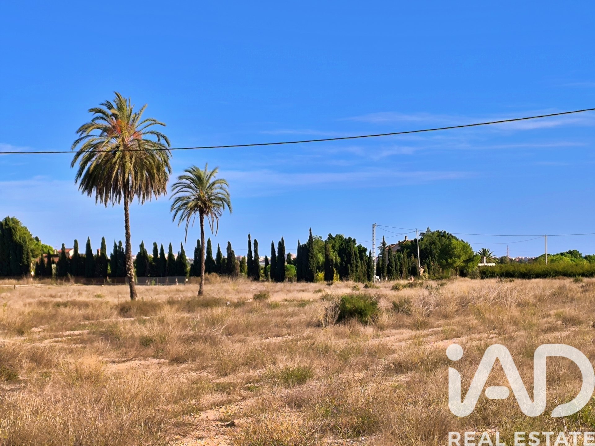 Land plot in Elche, Alicante, Spain 44870 sq.m. No. 152874