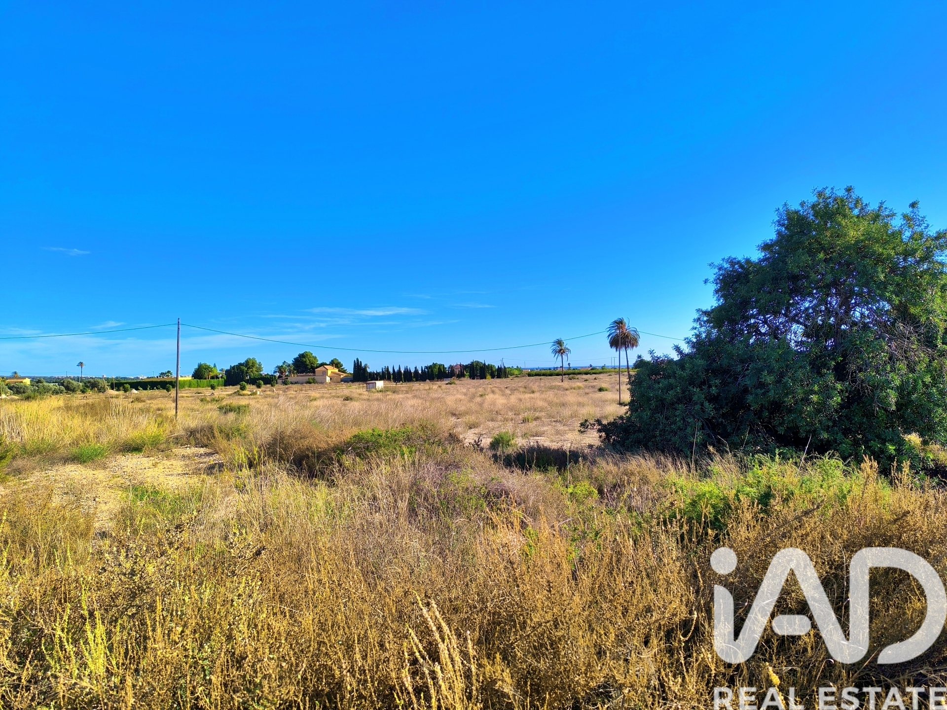 Land plot in Elche, Alicante, Spain 44870 sq.m. No. 152874