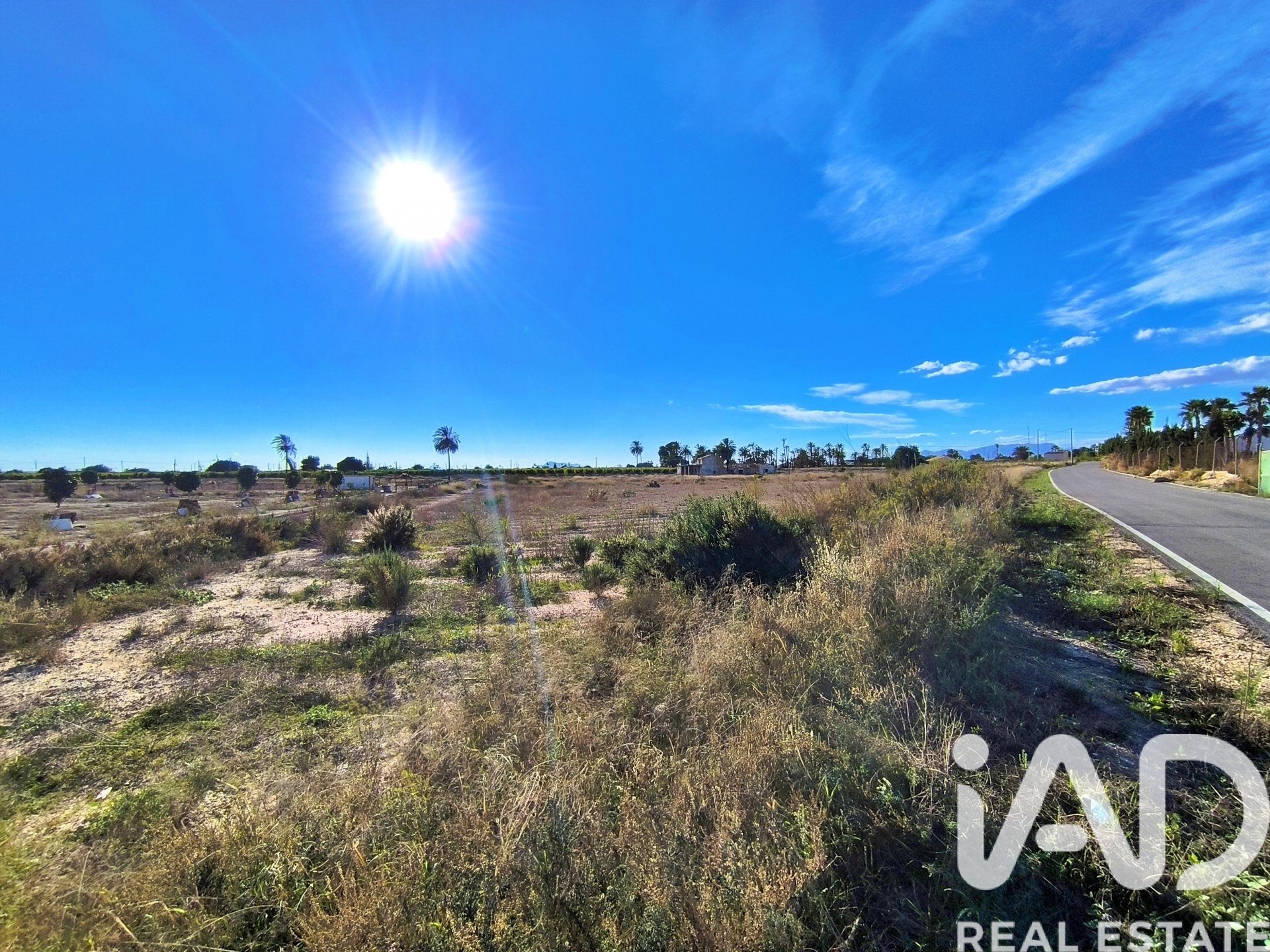 Land plot in Elche, Alicante, Spain 44870 sq.m. No. 152874