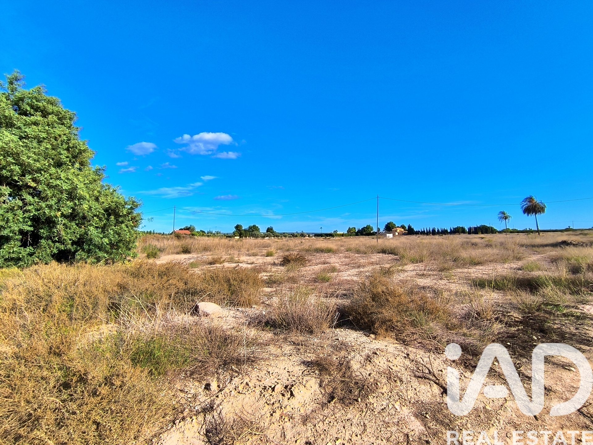 Land plot in Elche, Alicante, Spain 44870 sq.m. No. 152874