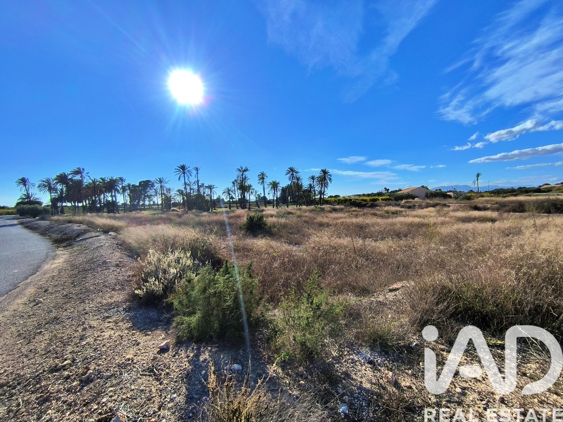 Land plot in Elche, Alicante, Spain 44870 sq.m. No. 152874