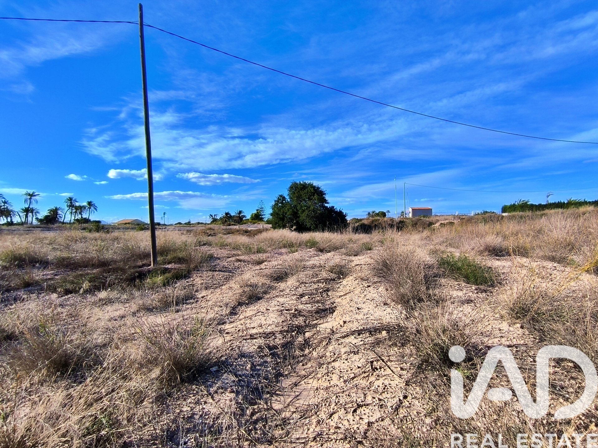 Land plot in Elche, Alicante, Spain 44870 sq.m. No. 152874