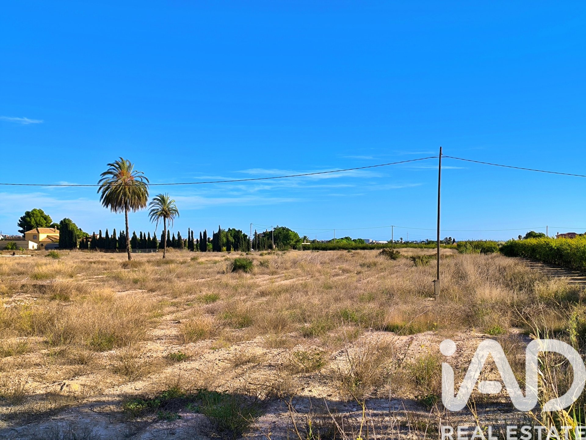 Land plot in Elche, Alicante, Spain 44870 sq.m. No. 152874