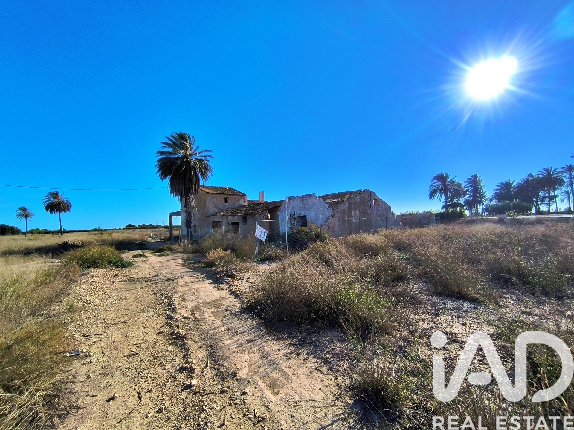 Land plot in Elche, Alicante, Spain 44870 sq.m. No. 152874