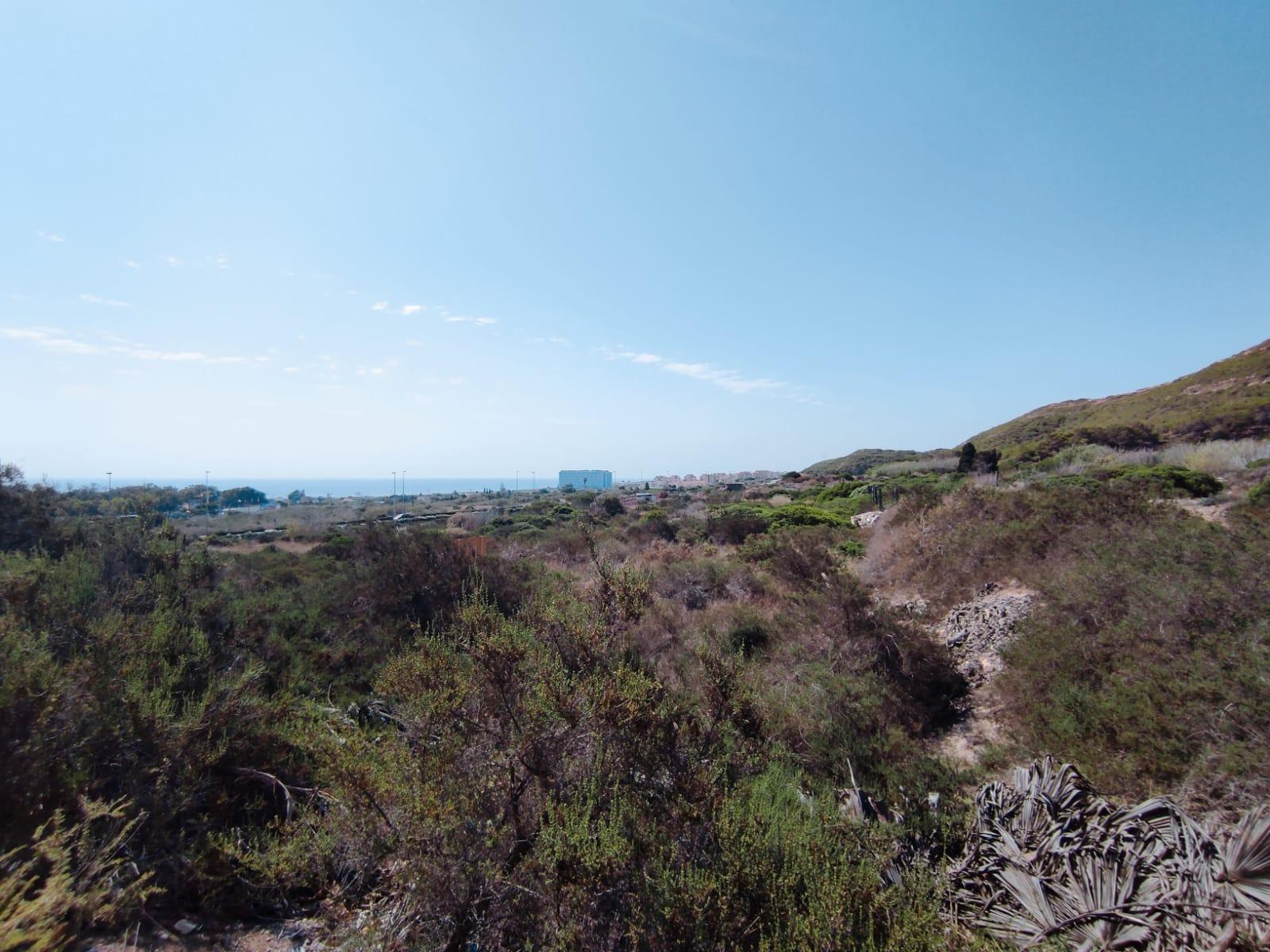 Land plot in Guardamar del Segura, Alicante, Spain No. 78879