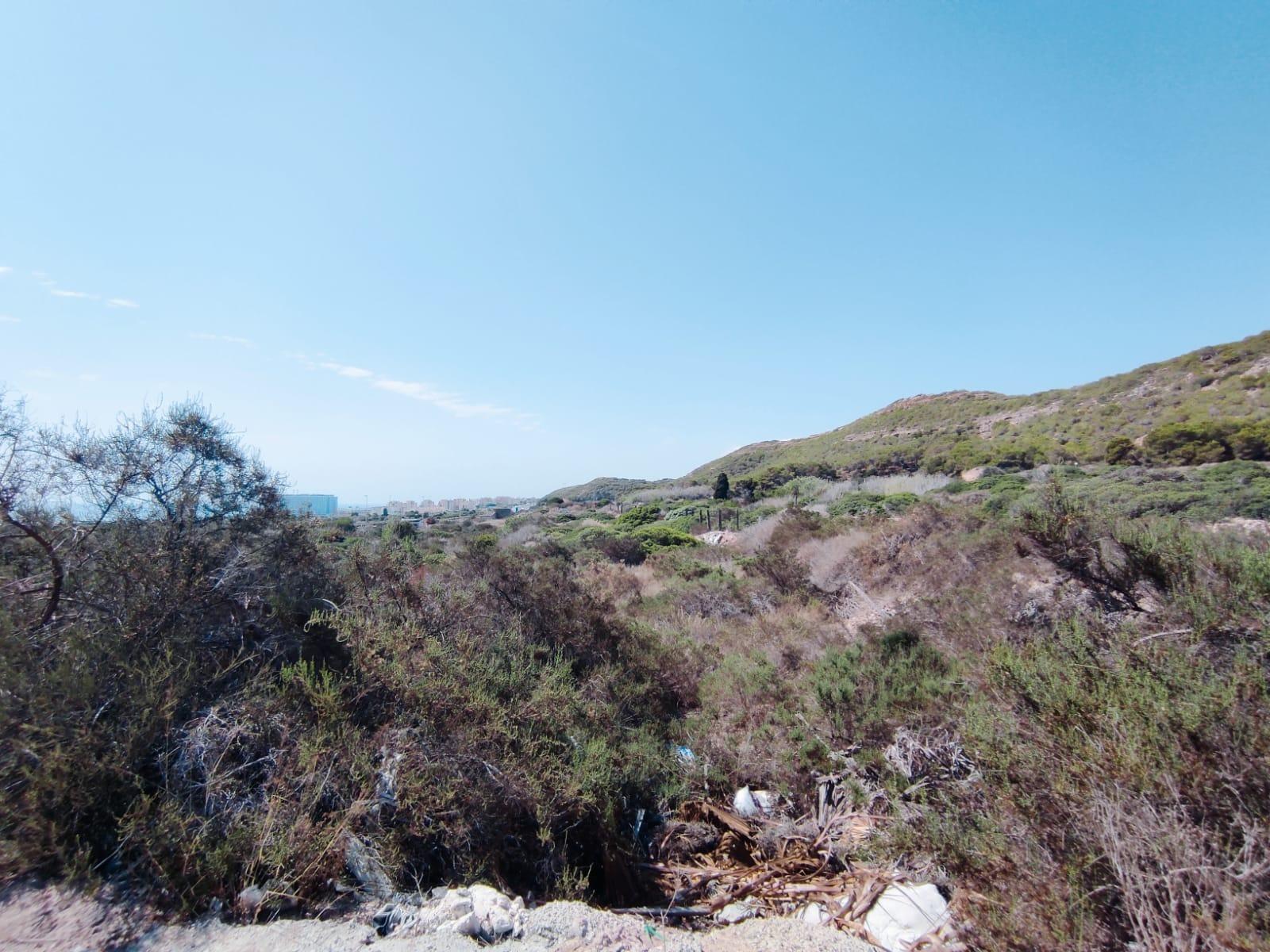 Land plot in Guardamar del Segura, Alicante, Spain No. 78879